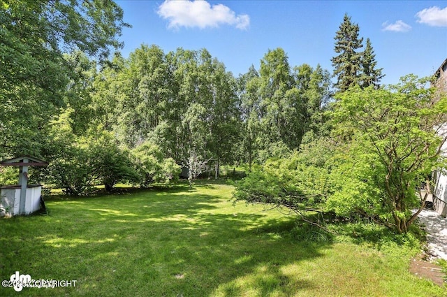 19360 Chugach Park Dr, Chugiak, AK 99567 - view of grassy yard