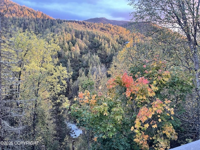 19360 Chugach Park Dr, Chugiak, AK 99567 - view of mountain backdrop with a forest