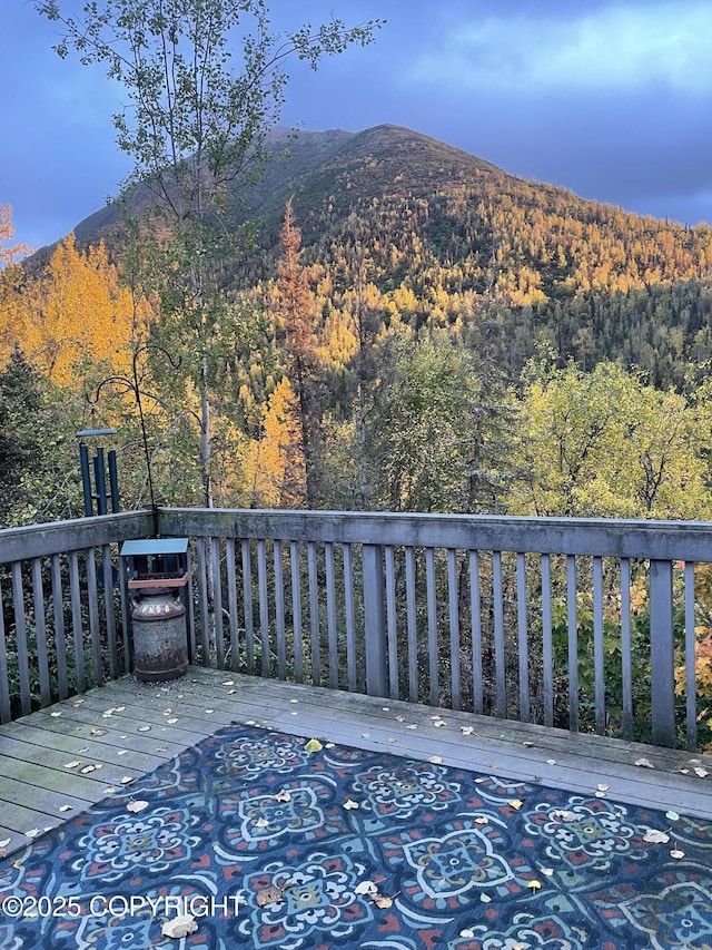 19360 Chugach Park Dr, Chugiak, AK 99567 - view of mountain background with a heavily wooded area