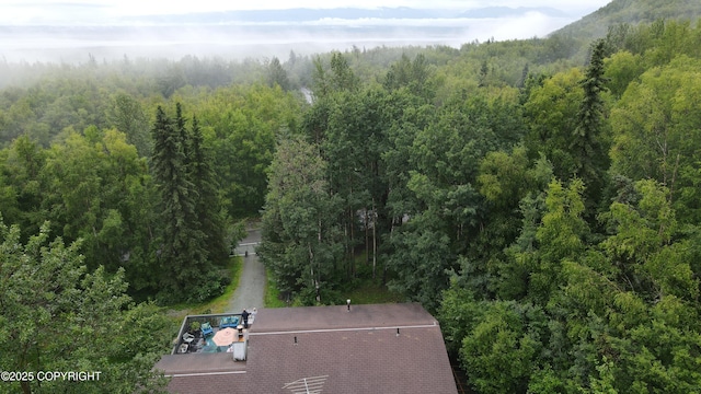 19360 Chugach Park Dr, Chugiak, AK 99567 - aerial view of property and surrounding area featuring a heavily wooded area