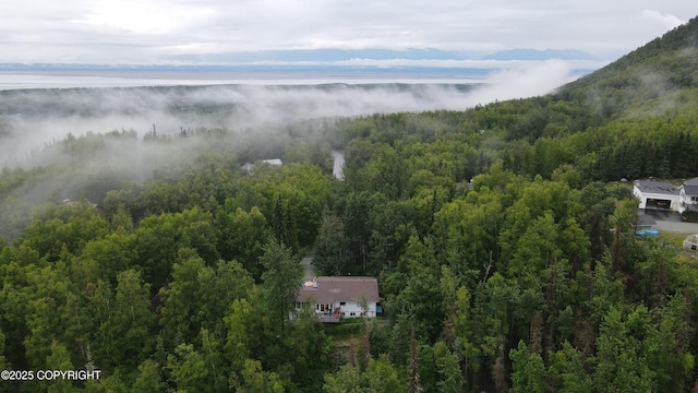 19360 Chugach Park Dr, Chugiak, AK 99567 - aerial view of property and surrounding area with a forest and a large body of water