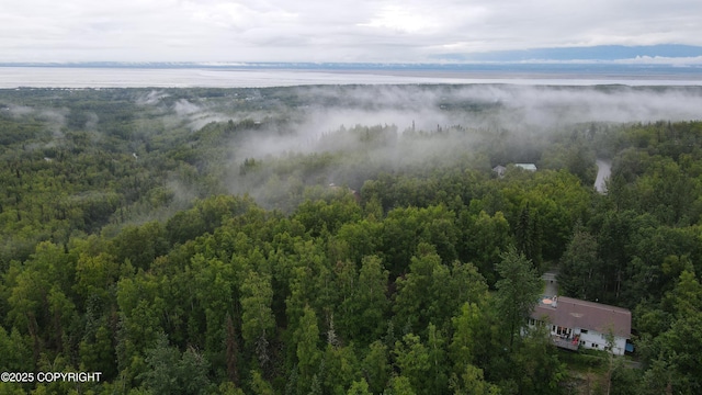 19360 Chugach Park Dr, Chugiak, AK 99567 - bird's eye view of a heavily wooded area