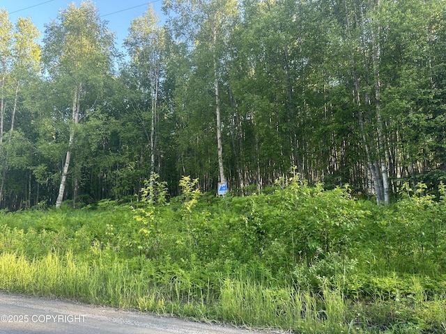 49995 Wapiti Rd, Nikiski/North Kenai, AK 99611 - photo 1