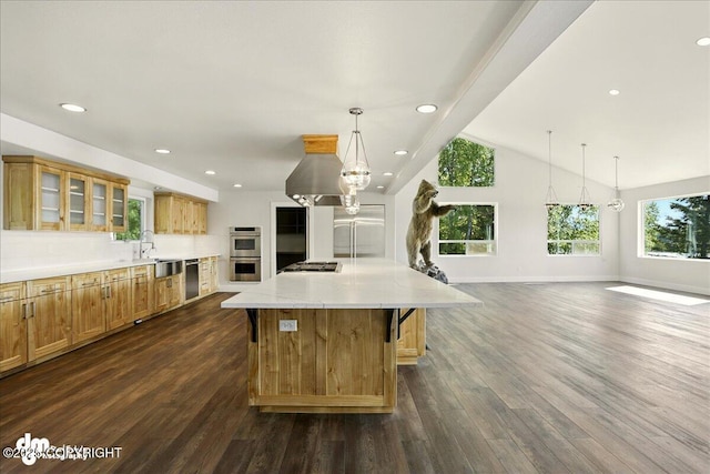 5100 W Lakeside Dr, Wasilla, AK 99654 - kitchen with stainless steel appliances, dark wood finished floors, glass insert cabinets, a breakfast bar area, and lofted ceiling