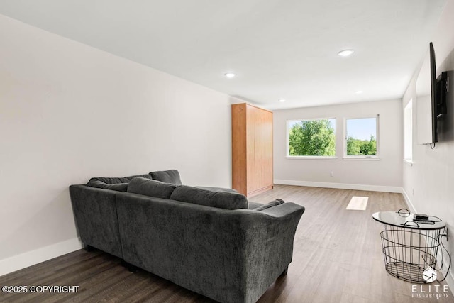 4722 S Gon Fishin Dr, Wasilla, AK 99623 - living room featuring wood finished floors and recessed lighting