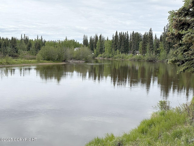4376 Dartmouth Dr # 9, Fairbanks, AK 99709 - water view featuring a heavily wooded area