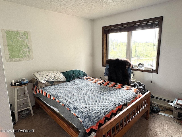 4376 Dartmouth Dr # 9, Fairbanks, AK 99709 - bedroom with carpet floors and a textured ceiling