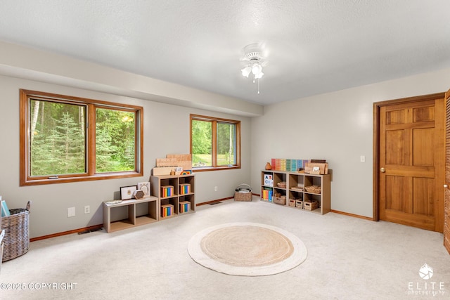 22135 Aurora Borealis Rd, Chugiak, AK 99567 - photo 37