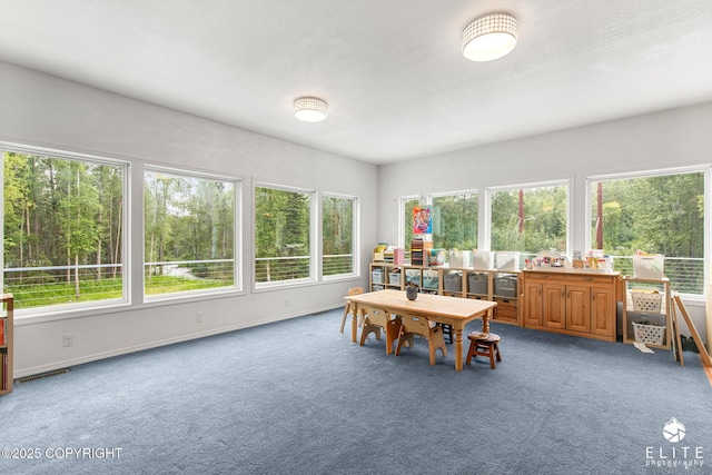 22135 Aurora Borealis Rd, Chugiak, AK 99567 - photo 11