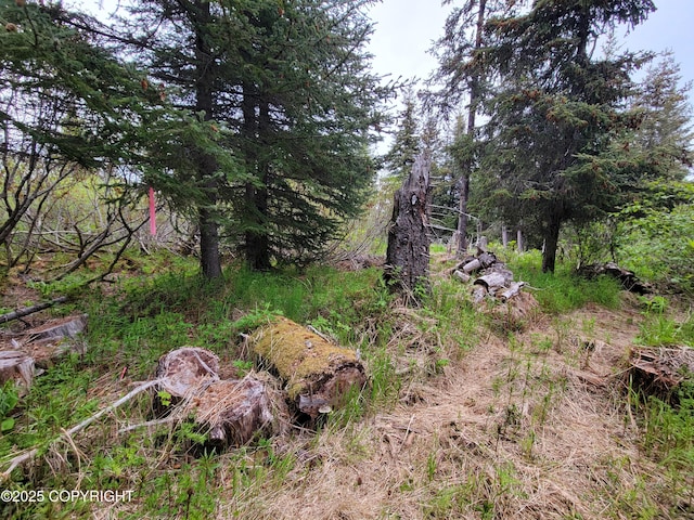 40170 Talley St, Homer, AK 99603