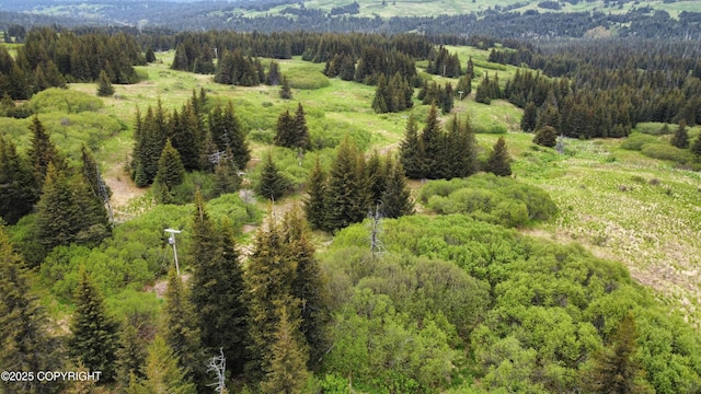 40170 Talley St, Homer, AK 99603