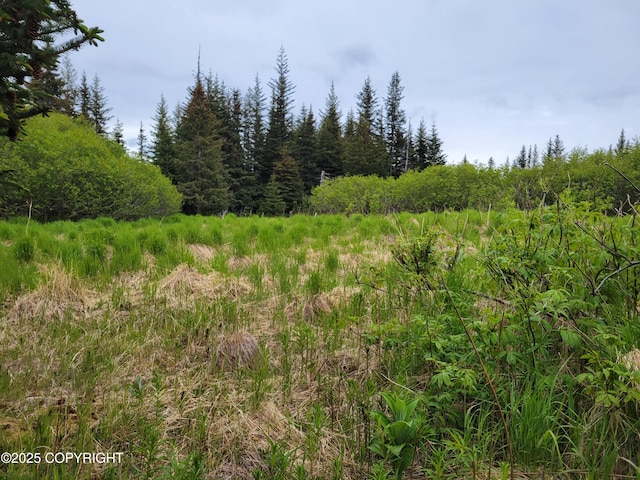 40170 Talley St, Homer, AK 99603
