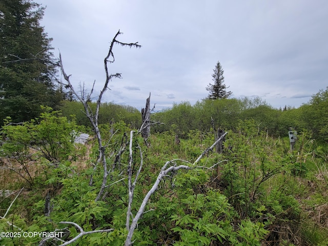 40170 Talley St, Homer, AK 99603