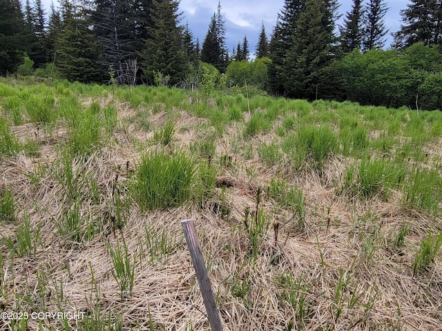 40170 Talley St, Homer, AK 99603