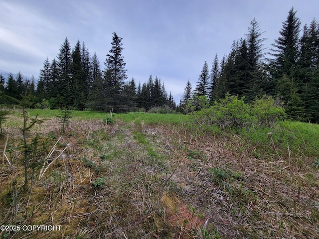 40170 Talley St, Homer, AK 99603