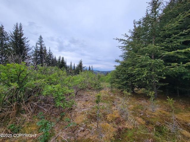 40170 Talley St, Homer, AK 99603