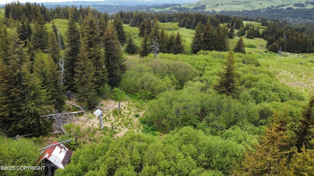 40170 Talley St, Homer, AK 99603