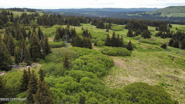 40170 Talley St, Homer, AK 99603