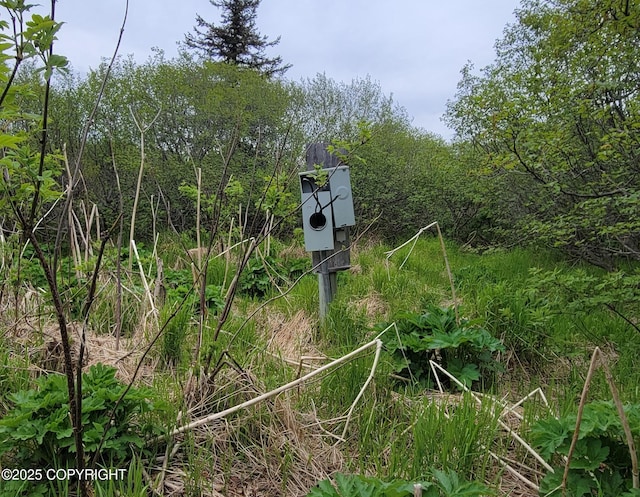 40170 Talley St, Homer, AK 99603