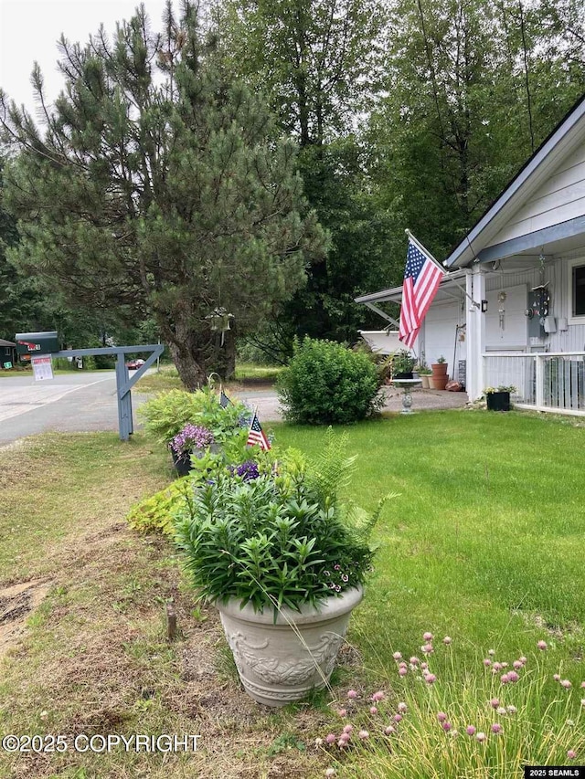 4128 Taku Blvd, Juneau, AK 99801 - view of green lawn