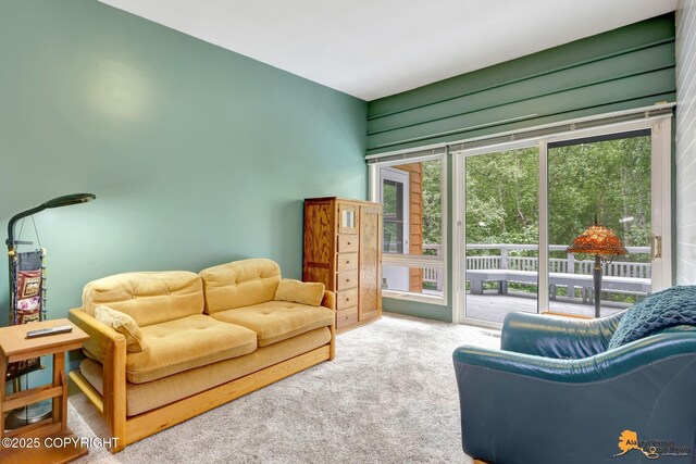 2201 Otter St, Anchorage, AK 99504 - photo 18