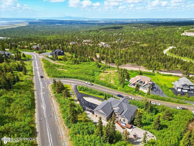 16071 Mountain Air Dr, Anchorage, AK 99516 - aerial view of a forest