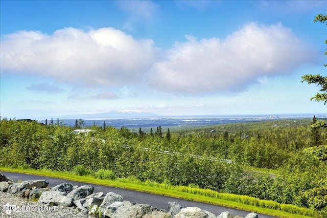 16071 Mountain Air Dr, Anchorage, AK 99516 - bird's eye view of a mountain backdrop