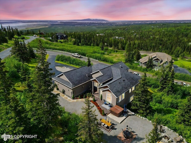 16071 Mountain Air Dr, Anchorage, AK 99516 - bird's eye view of a forest