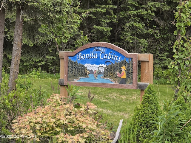 46210 Bonita Ave, Soldotna, AK 99669 - exterior view