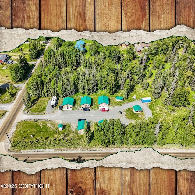 46210 Bonita Ave, Soldotna, AK 99669 - drone / aerial view