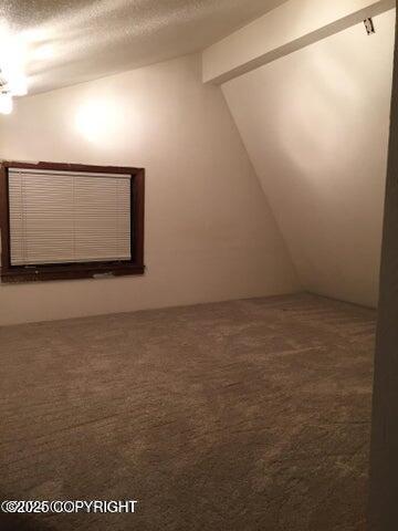 53245 Coyote Ln, Nikiski/North Kenai, AK 99611 - empty room featuring carpet, vaulted ceiling, and a textured ceiling