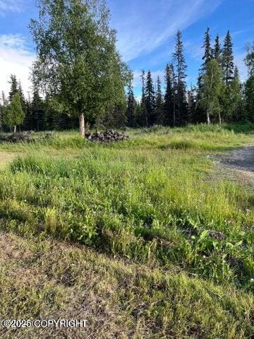 53245 Coyote Ln, Nikiski/North Kenai, AK 99611 - view of nature
