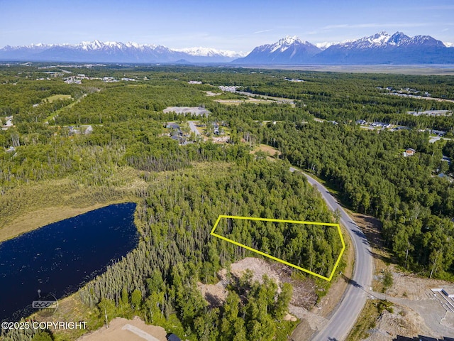 1531 W Valley Ridge Dr, Wasilla, AK 99654