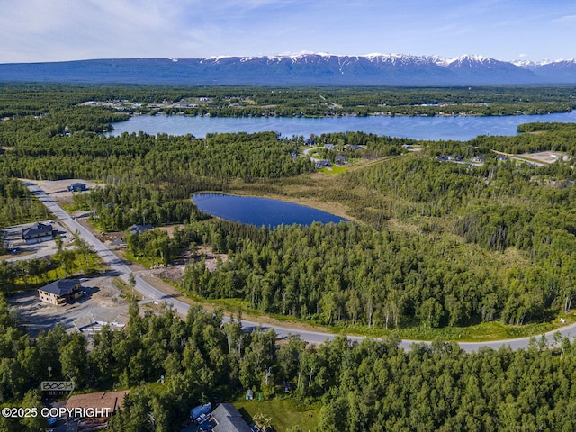1531 W Valley Ridge Dr, Wasilla, AK 99654