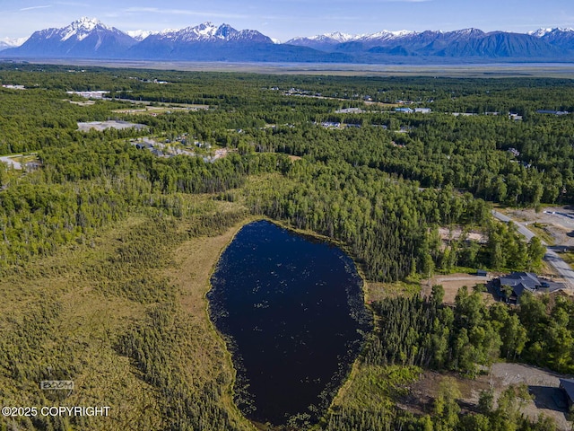 1531 W Valley Ridge Dr, Wasilla, AK 99654