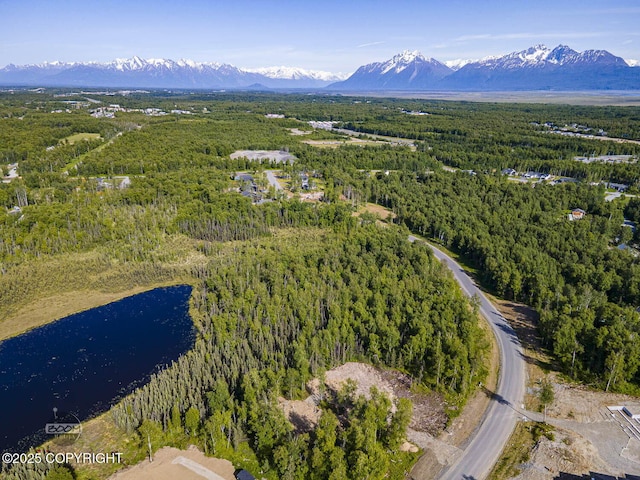 1531 W Valley Ridge Dr, Wasilla, AK 99654