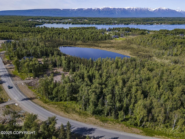1531 W Valley Ridge Dr, Wasilla, AK 99654