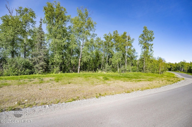 1531 W Valley Ridge Dr, Wasilla, AK 99654