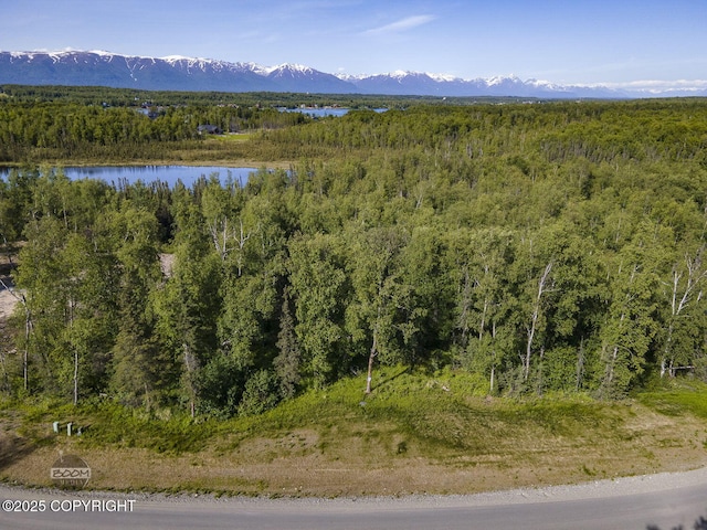 1531 W Valley Ridge Dr, Wasilla, AK 99654