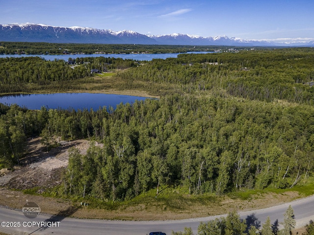 1531 W Valley Ridge Dr, Wasilla, AK 99654