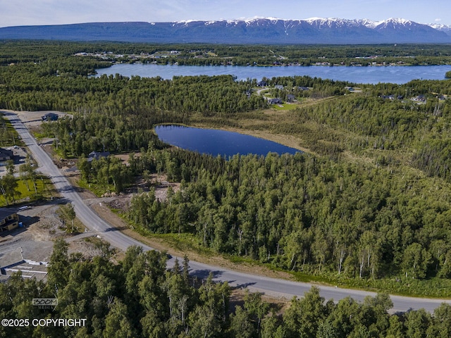 1531 W Valley Ridge Dr, Wasilla, AK 99654