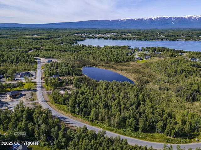 1531 W Valley Ridge Dr, Wasilla, AK 99654