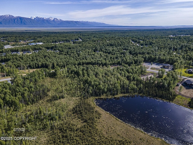 1531 W Valley Ridge Dr, Wasilla, AK 99654