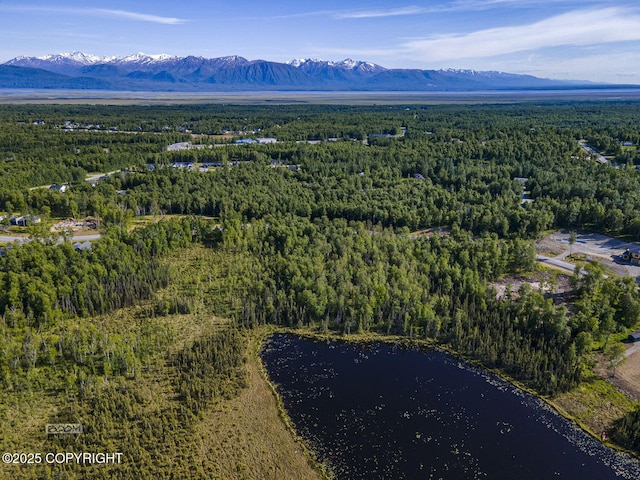1531 W Valley Ridge Dr, Wasilla, AK 99654