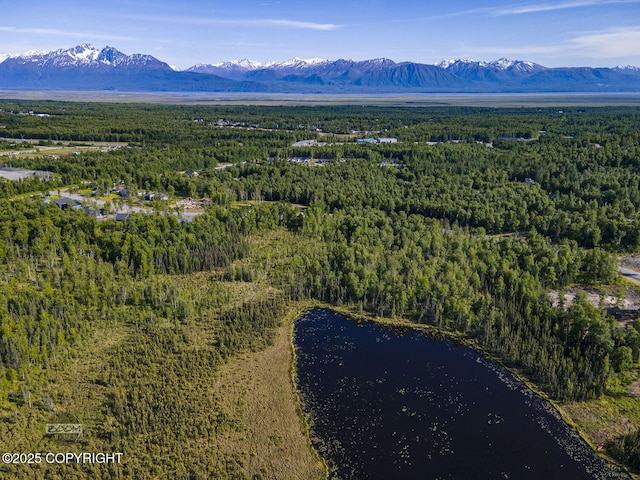 1531 W Valley Ridge Dr, Wasilla, AK 99654