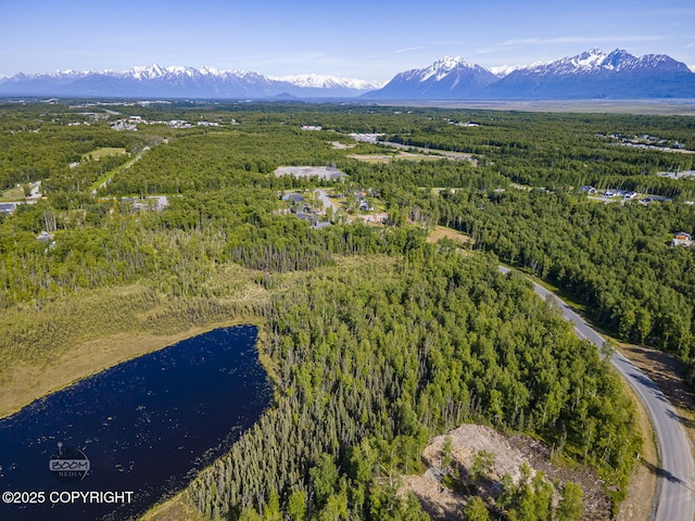 1531 W Valley Ridge Dr, Wasilla, AK 99654