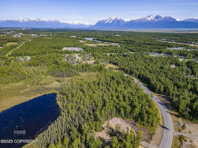 1531 W Valley Ridge Dr, Wasilla, AK 99654
