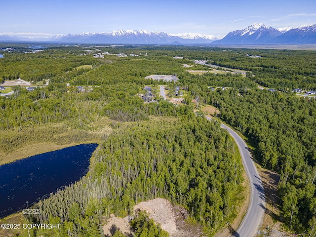 1531 W Valley Ridge Dr, Wasilla, AK 99654