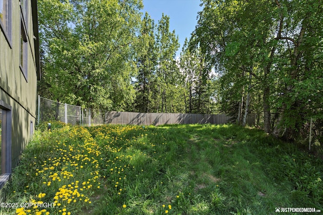 19712 Chugach Park Dr, Eagle River, AK 99567 - view of yard