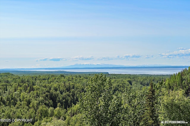 19712 Chugach Park Dr, Eagle River, AK 99567 - bird's eye view of a forest and mountains